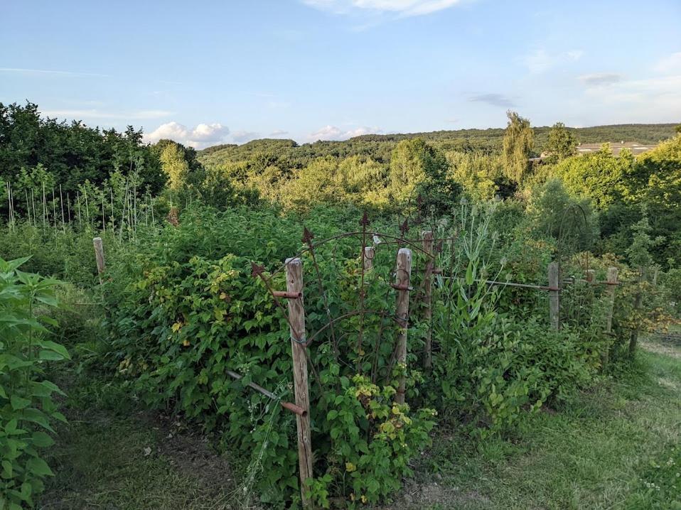 에레제 La Jardiniere B&B 외부 사진